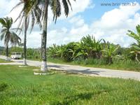 Aluguel Comercial