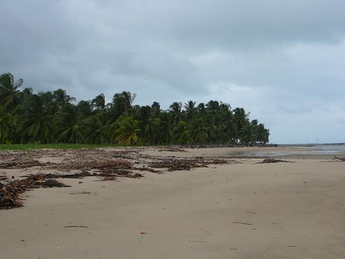 Áreas Praias