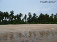 Áreas Praias