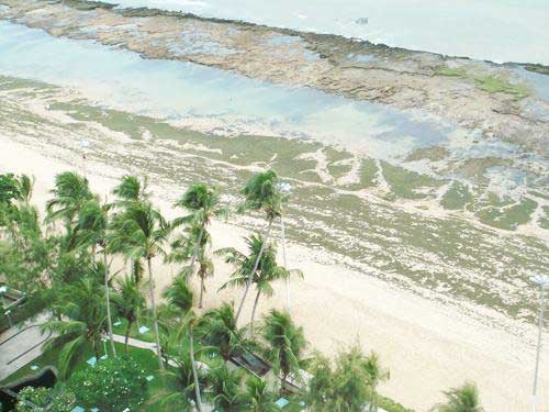 Aluguel Residencial Piedade