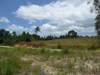 Area Urbana