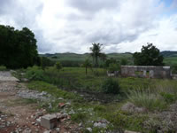 Area Urbana