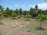 Area Urbana