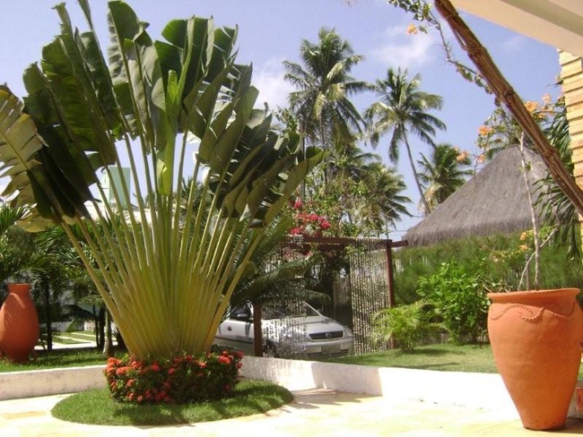 BrasilHolidayHouse