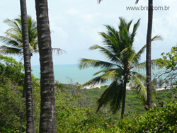 Areas Praia