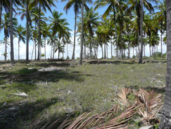 Areas Praia