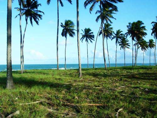 Áreas Praia