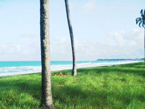 Áreas Praia