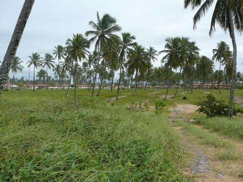Áreas Praia