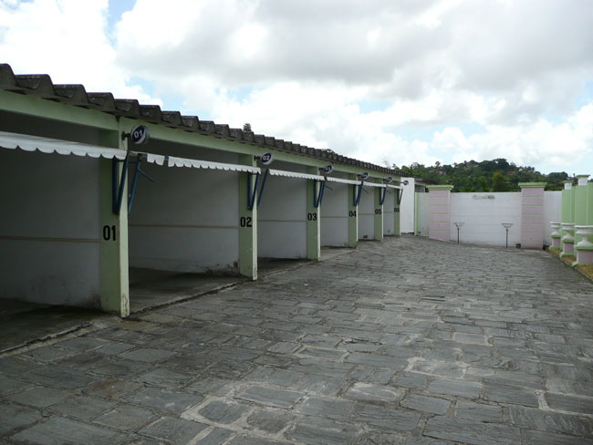Negocios Turismo