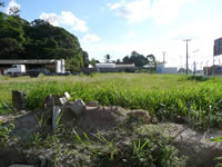 VC818