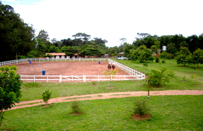 venda campo