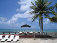 VU915