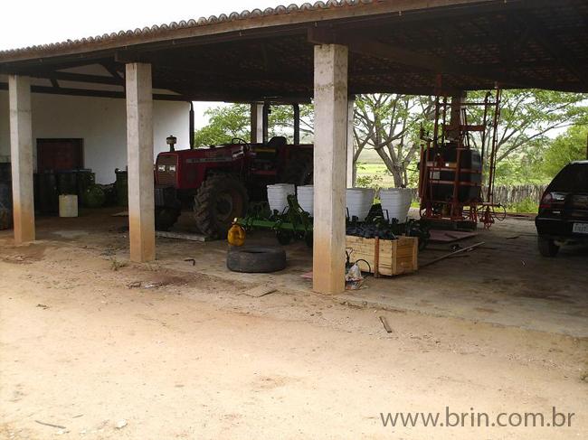 Negocios Agrobussines