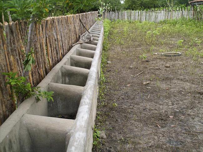 Negocios Agrobussines