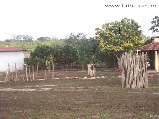 Negocios Agrobussines 