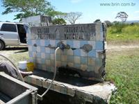 Negocios Agrobussines 