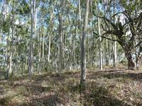 Agrobussines