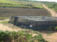 Negocios agrobussines
