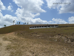 Negocios Agrobussines